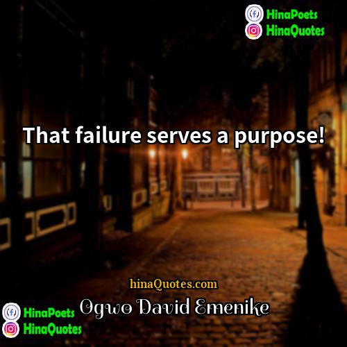 Ogwo David Emenike Quotes | That failure serves a purpose!
  